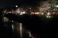 Cherry trees along Ooka river, Yokohama at evening Royalty Free Stock Photo