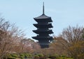 Cherry trees in bloom and pagoda in a Japanese temple. Royalty Free Stock Photo