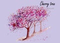 Cherry trees.Hand drawn watercolor painting on white background