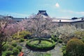 Cherry trees at Kyoto Prefectural Government Old main building