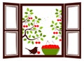 Cherry trees outside window Royalty Free Stock Photo