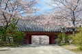 Cherry trees and temple gate at Tsubosaka-dera Royalty Free Stock Photo