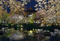 Cherry trees at To-ji Temple Royalty Free Stock Photo