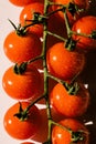 Cherry Truss Tomatoes on stamp