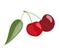 Cherry, two red berries with a leaf. Isolated fruits on a white background. Flat vector illustration in cartoon style. Royalty Free Stock Photo