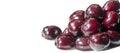 Cherry In the United States, most sweet cherries are grown in Washington, California, Oregon, Wisconsin, and Michigan. Important