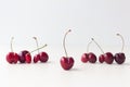 Cherry of an unusual shape. Not like everyone else. Royalty Free Stock Photo