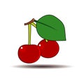 Cherry, vector. Royalty Free Stock Photo