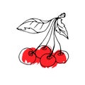 Cherry vector food fruit nature sweet leaf illustration dessert