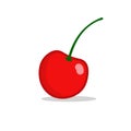 Cherry vector illustartion