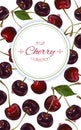 Cherry vertical banners Royalty Free Stock Photo
