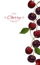 Cherry vertical banners