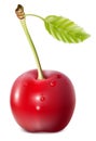 Cherry with water drops.