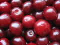 Cherry with water drops, berry background