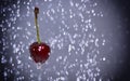 Cherry among water drops Royalty Free Stock Photo