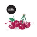 Cherry watercolor illustration. hand drawn cherries with ink scatter. fresh ripe fruit.