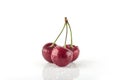 Cherry on white background