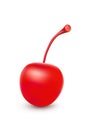 Cherry on white background. Vector image.