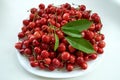 Cherry on a white plate and white background