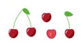 Cherry whole with a leaf, half a cherry berry with a stone. Vector illustration of a set of fresh cherry berries Royalty Free Stock Photo