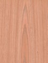 Cherry wood wall material burr surface texture background Pattern Abstract brown color wooden, top view Royalty Free Stock Photo