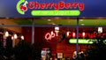 CherryBerry self-serve yogurt bar store front