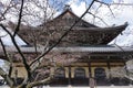 Cherryblossom tree in front of Japanese temple