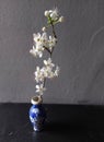 Cherryplum blossom branch in Chinese vase