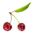 Cherrys isolated on white background. With clipping path Royalty Free Stock Photo
