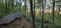 Chert rock outcropping atop blue mound state park wisconsin with the setting sun through the forest