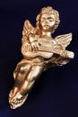 golden cherub