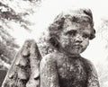 Cherub statue in graveyard