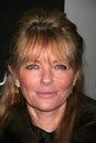 Cheryl Tiegs