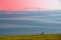 Chesapeake Bay Bridge and Runner Royalty Free Stock Photo