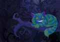 Cheshire Cat