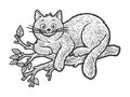 Cheshire Cat sketch raster illustration Royalty Free Stock Photo