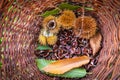 chesnuts in a basket in sunny daylight