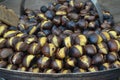 Chesnuts Royalty Free Stock Photo