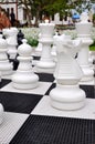 Chess Royalty Free Stock Photo