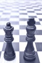 Chess Royalty Free Stock Photo