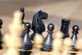 Chess Royalty Free Stock Photo