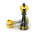 Chess : black king wins Royalty Free Stock Photo