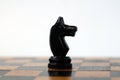 Chess. Black knight on chess board. Royalty Free Stock Photo