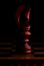 Chess. Black Knight Horse on black background. Royalty Free Stock Photo