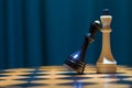 Chess Black Queen and White King Stand on a Chessboard Royalty Free Stock Photo