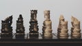 Chess black and white king with pawns on the board