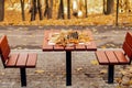 Chess board in autumn leaves with spaced figures on a game table in a park with chairs Royalty Free Stock Photo