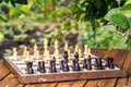 Chess board with chess pieces on wooden desk with branch of apple tree and green leaves on the background Royalty Free Stock Photo