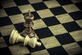 Chess on board , concept Losers and winners Royalty Free Stock Photo