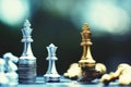 Chess board game, business competitive concept, strong financial capital advantage situation against unstable finance team